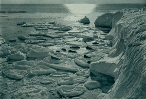 Sälar solar sig på nybildad pannkaksis utanför Cape Evans, c19101913, 1913 av Herbert Ponting