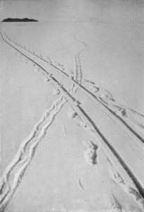 Sledge Track Crossing An Adélie Penguins Track, 8 december 1911, 1913 av Herbert Ponting