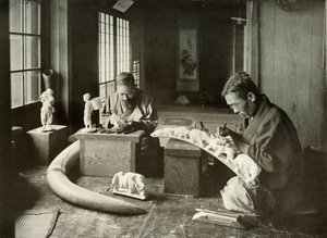 Elfenbensskärarna, 1910. av Herbert Ponting