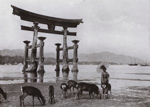 The Old Torii at Miyajima (s/v foto) av Herbert Ponting