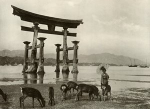Den gamla Torii i Miyajima, 1910. av Herbert Ponting