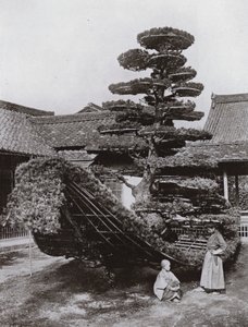 Pine-Tree Junk vid Kinkakuji (s/v foto) av Herbert Ponting