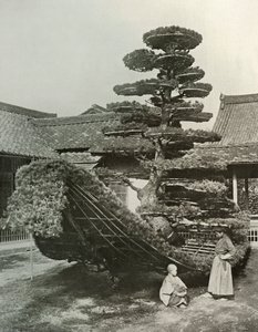 Pine-Tree Junk vid Kinkakuji, 1910. av Herbert Ponting