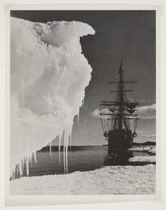 Terra Nova vid isfoten (bromidtryck) av Herbert Ponting
