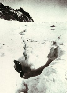 Tidvattnet på Razorback Island, 1911, 1913 av Herbert Ponting