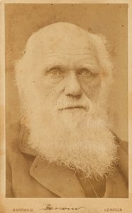 Porträtt av Charles Darwin 1809-1882, 1881.