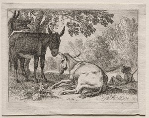 Åsnor. av Herman van Swanevelt