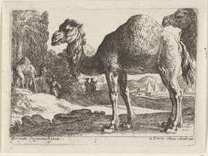 kameler Landskap med djur (serietitel) av Herman van Swanevelt