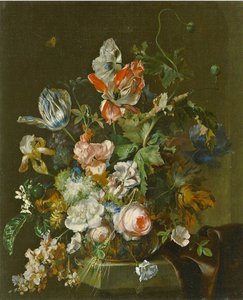 Blossom bit av Herman van der Mijn