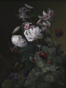  av Hermania Sigvardine Neergaard