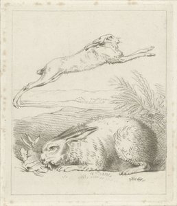 hare och kanin