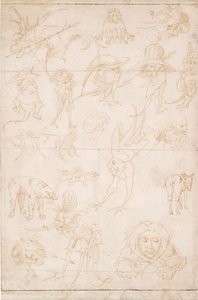 Grotesque Studies, c1500-1520 av Hieronymus Bosch