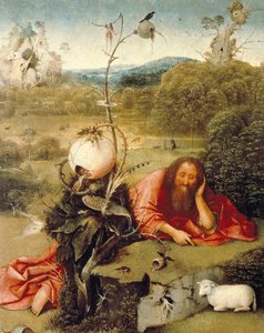 "" Johannes Döparen slumrade i naturen "" Målning av Hieronymus Van Aeken (Aken) säger Jerome Bosch (1450-1516) 1504-1505 Madrid. Lazaro Galdiano Foundation av Hieronymus Bosch