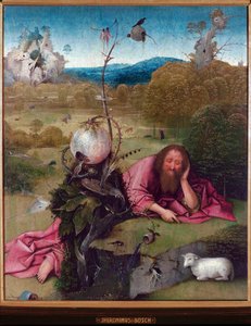 Saint John the Baptist in the Desert - Målning av Jeronimus van Aken, av Jerome (Hieronymus) Bosch (ca 1450 -1516), olja på trä, 48,5x40 cm, ca 1489 - Madrid, Museo Lazaro Galdiano av Hieronymus Bosch