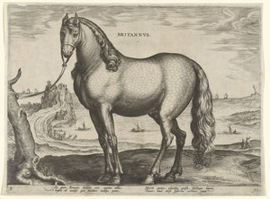 Häst från Bretagne (Brittanus) Britannvs (titel på objekt) Hästaraser från Royal Stables of Don Juan of Austria (serietitel) Equile Ioannis Austriaci Caroli (serietitel) av Hieronymus Wierix