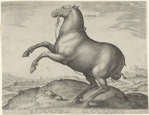 Häst från Scythia Cimber (titel på objekt) Hästaraser från Royal Stables of Don Juan of Austria (serietitel) Equile Ioannis Austriaci Caroli (serietitel) av Hieronymus Wierix