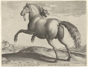 Häst från Spanien (Hispanus Alter) Hispanvs (titel på objekt) Hästaraser från Royal Stables of Don Juan of Austria (serietitel) Equile Ioannis Austriaci Caroli (serietitel) av Hieronymus Wierix