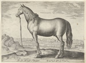 Häst från Thessalien (Thessalos) Thessalvs (titel på objekt) Hästaraser från Royal Stables of Don Juan of Austria (serietitel) Equile Ioannis Austriaci Caroli (serietitel)