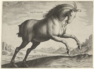 Häst av rasen Equus Regius (den kungliga) Eqvvs Regivs (titel på objekt) Hästaraser från Royal Stables of Don Juan of Austria (serietitel) Equile Ioannis Austriaci Caroli (serietitel)