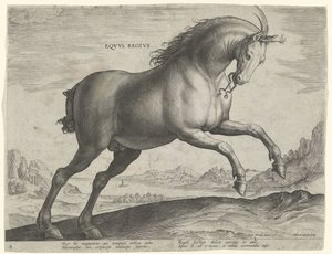 Häst av rasen Equus Regius (den kungliga) Eqvvs Regivs (titel på objekt) Hästaraser från Royal Stables of Don Juan of Austria (serietitel) Equile Ioannis Austriaci Caroli (serietitel) av Hieronymus Wierix