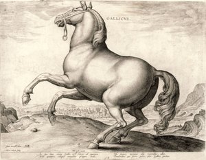 Gallicus från serien Hästar från stallet av Don Juan av Österrike (gravyr på väv)
