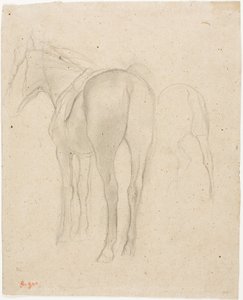 Studier av en häst av Hilaire Germain Edgar Degas