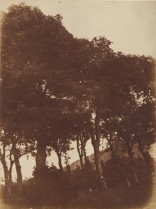 [Fält vid Bonaly] av Hill and Adamson