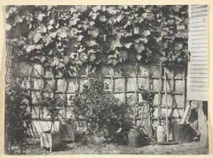La Treille av Hippolyte Bayard