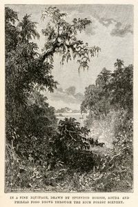 I en fin utrustning, ritad av fantastiska hästar, körde Aouda och Phileas Fogg genom det rika skogslandskapet, från Jorden runt på åttio dagar av Jules Verne (1828-1905) graverad av Henri-Théophile