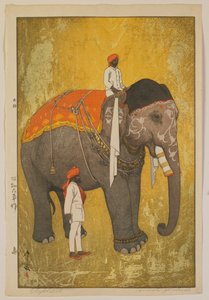 Elefant, Showa-eran