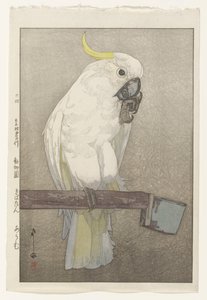 Svavelkrönad kakadua av Hiroshi Yoshida