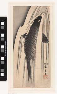 Karp simmar mot ett vattenfall av Hiroshige (I) , Utagawa