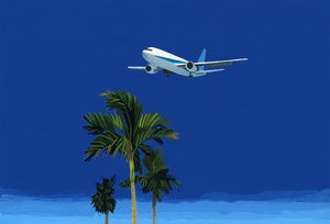 Flygplan och palm