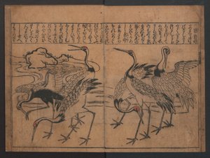 Illustrationen von Vögeln und Blumen (Kachō e-zukushi)