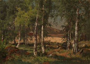 Landskap med björkdunge och rågfält av Hjalmar Munsterhjelm