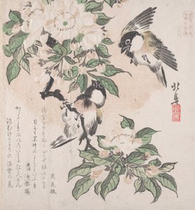 Spring Rain Collection Harusame shu, vol. 3: Marsh-mes och krabba äppelblommor, ca. ..., ca. 1820.