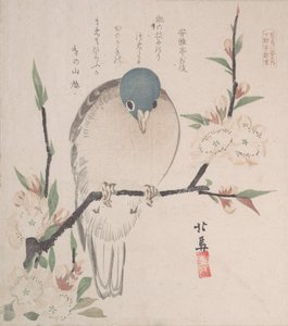 Spring Rain Collection Harusame shu, vol. 3: Mountain Dove and Peach Flowers, ca. 1820., ca. 1820.
