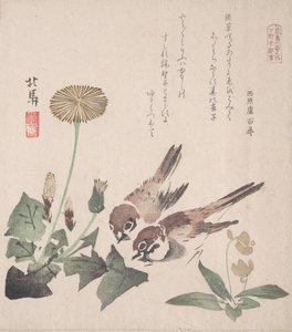Spring Rain Collection Harusame shu, vol. 3: Sparvar och maskrosor, ca. 1820., ca. 1820.