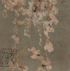 藤の花、江戸時代、17世紀初頭。 スウェーデンの