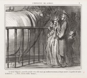 Exposition of Animals: The Cow-Elephant, New Variety av Honoré Daumier