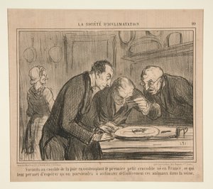 Forskare på höjden av glädje överväger den första lilla krokodilen av Honoré Daumier
