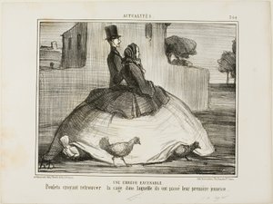Ett ursäktligt misstag. Kycklingar som tror att de har hittat buren där de tillbringade sin tidiga barndom, plansch 21 från La Crinolomanie av Honoré Victorin Daumier