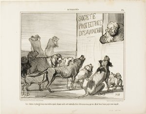 Hundarna blir återigen förtvivlade efter att ha hört att det trots allt kommer att införas en ny hundskatt, plansch 171 från Actualités av Honoré Victorin Daumier