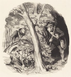 Mötet i skogen