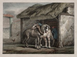 Gårdshäst av Emile Jean Horace Vernet