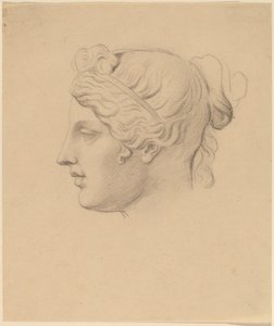 Klassiskt huvud i profil av Horatio Greenough