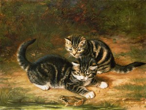 Kattungar