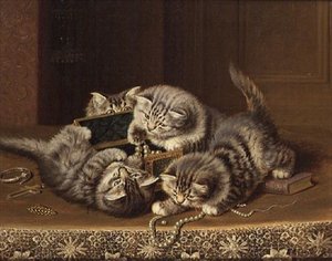 Kattungar