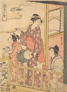 A Long-tailed Fowl Onagadori, från serien Twelve Assorted Birds Shocho junikin..., ca. 1791.