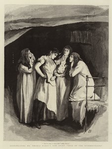Tess från D